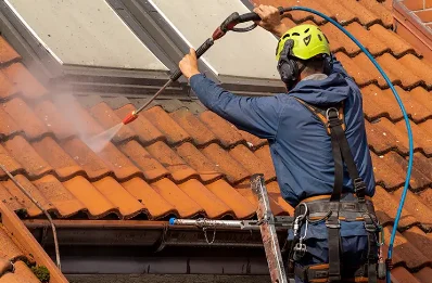 Démoussage et hydrofuge de toiture à Vira